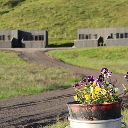 Laxárdalur Cabin Einarsstaðir Exterior foto
